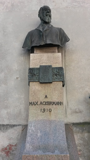 MONUMENTO A MAX ACKERMANN - luogo_interesse