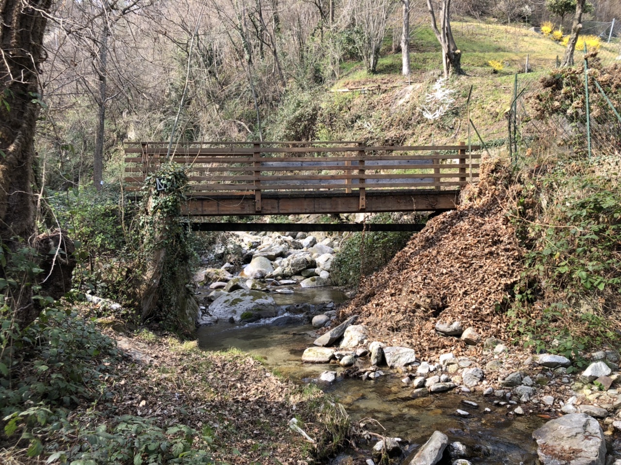 Ponte sul Pellesina - luogo_interesse